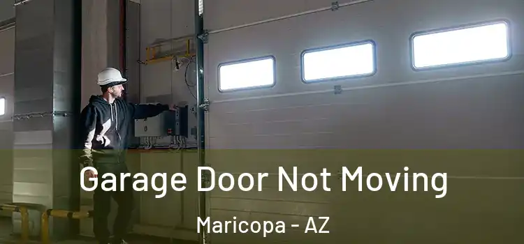  Garage Door Not Moving Maricopa - AZ