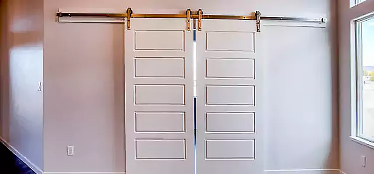 Glass Barn Door with Installation Hardware Kit Maricopa